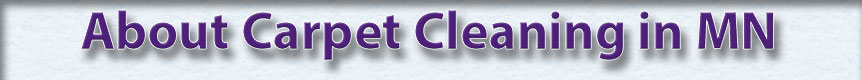 About Carpet Cleaning in MN