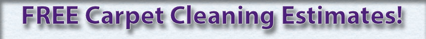 Free Carpet Cleaning Estimates in MN!